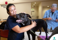 에일린 응 글라데오