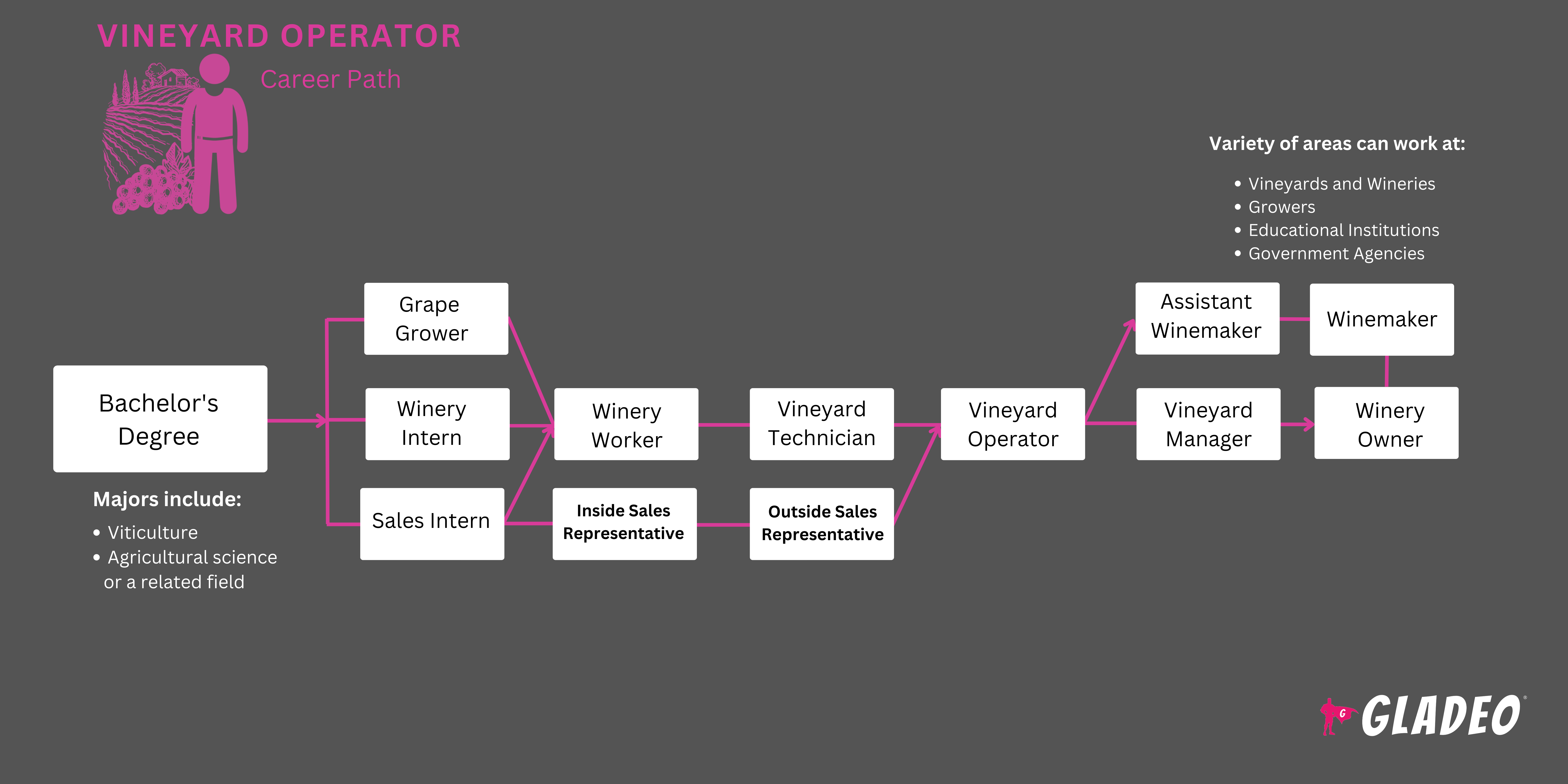 Vineyard Operator Roadmap