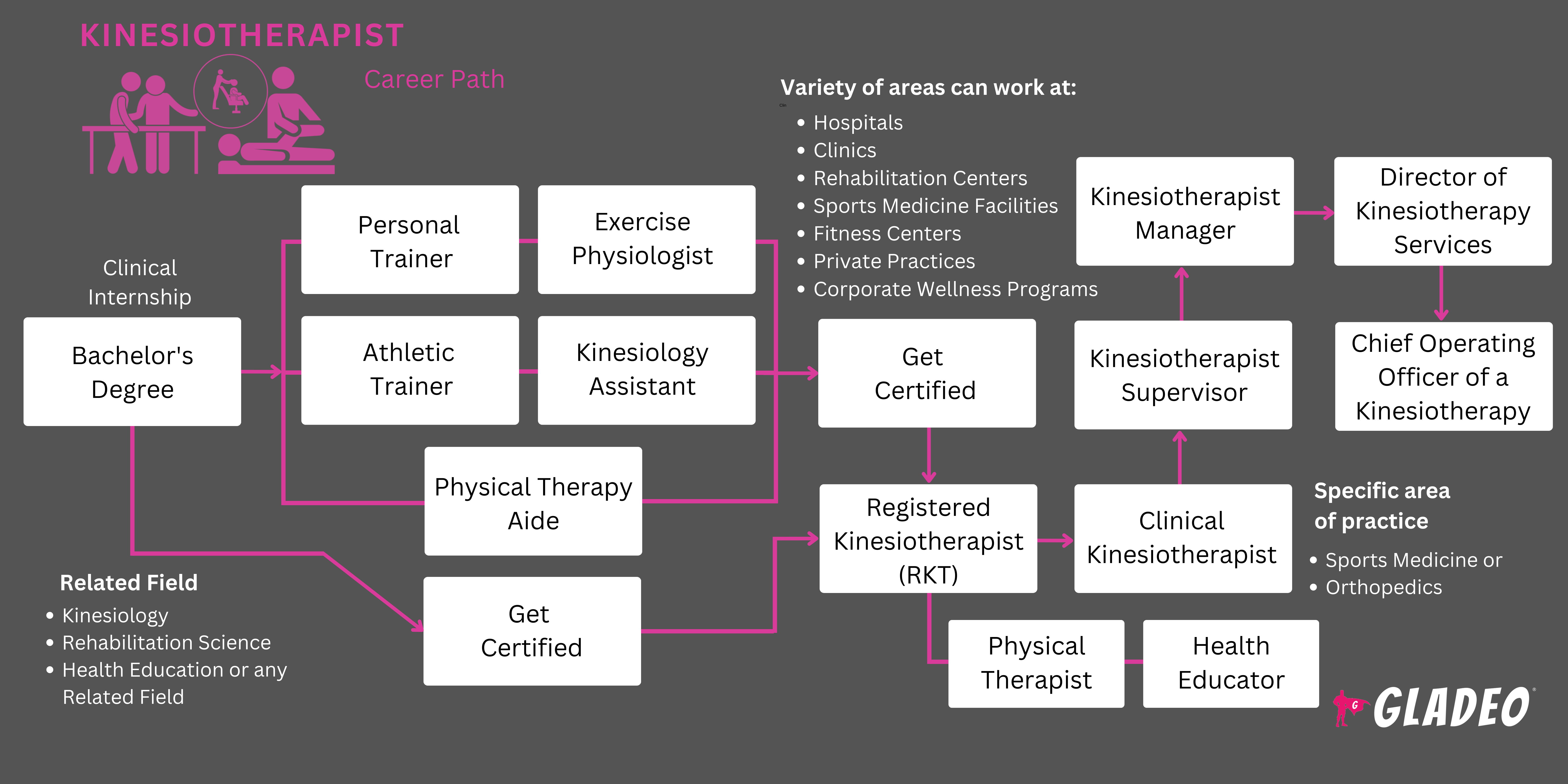 Kinesiotherapist Roadmap